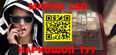 apvp Кингисепп