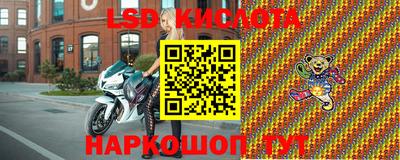 apvp Кингисепп