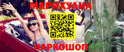 apvp Кингисепп
