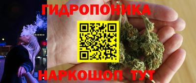 apvp Кингисепп