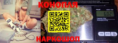 apvp Кингисепп