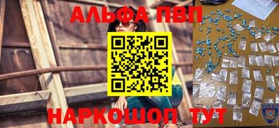 apvp Кингисепп